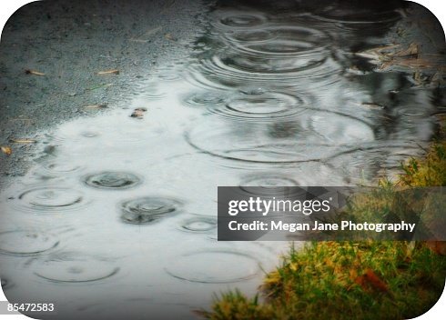 Raindrops falling into puddle Raindrops falling into puddle