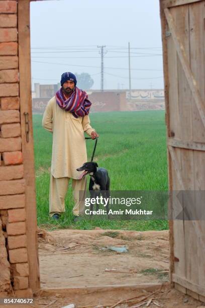 dog chase rabbit (dog race) - rabbit game meat stock pictures, royalty-free photos & images