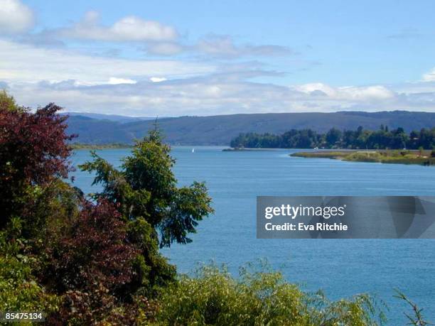 valdivia river - valdivia stock pictures, royalty-free photos & images