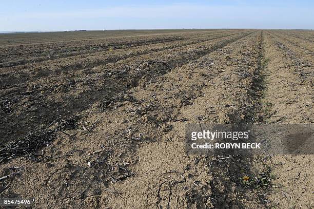 By TANGI QUEMENER A field lays fallow in Firebaugh, California in the state's San Joaquin Valley on March 11, 2009. Due to drought conditions many...