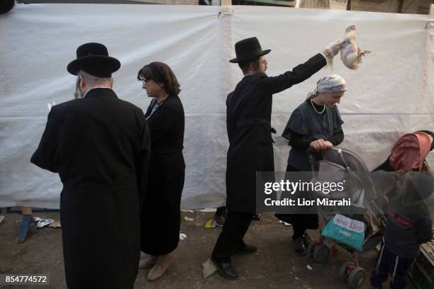 Kaparot Ritual Ultra Orthodox Jews Perform Kaparot Ceremony Photos and Premium High ...