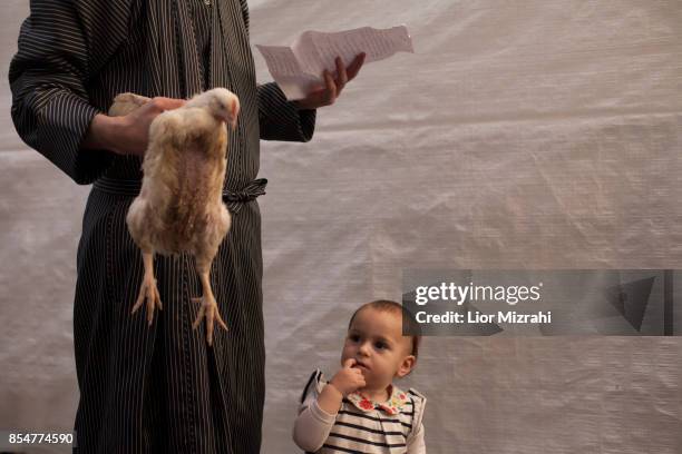 Kaparot Ritual Kaparot Ceremony Performed In Israel Photos and Premium High Res ...