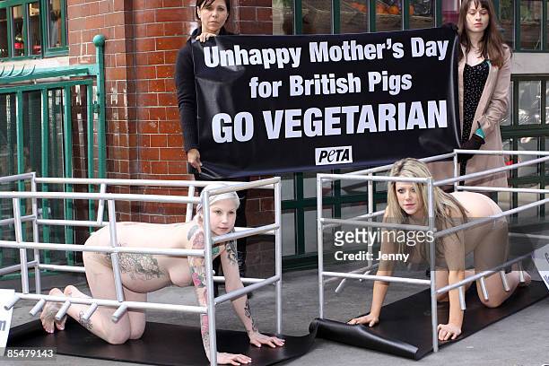 Two pregnant PETA members take part in the protest 'Naked' pregnant women vs. Jamie Oliver in Mother's Day Pig-Crate appeal at Fifteen Restaurant on...