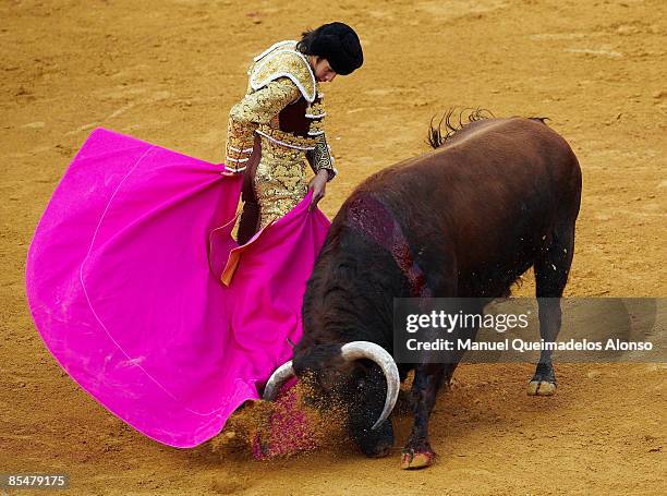 French torero Sebastian Castella performs during a bullfight at the Plaza Valencia on March 15, 2009 in Valencia, Spain.