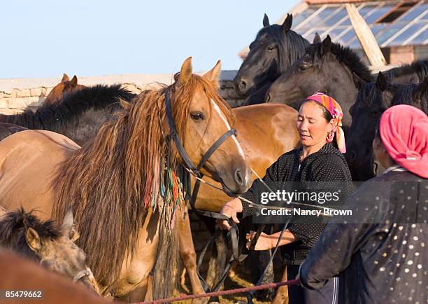 inner mongolian farm woman with horses in grasslan - xilinhot stock pictures, royalty-free photos & images