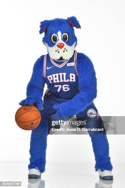 Franklin the Dog of the Philadelphia 76ers poses for a portrait during 2017-18 NBA Media Day on September 25, 2017 at Wells Fargo Center in...