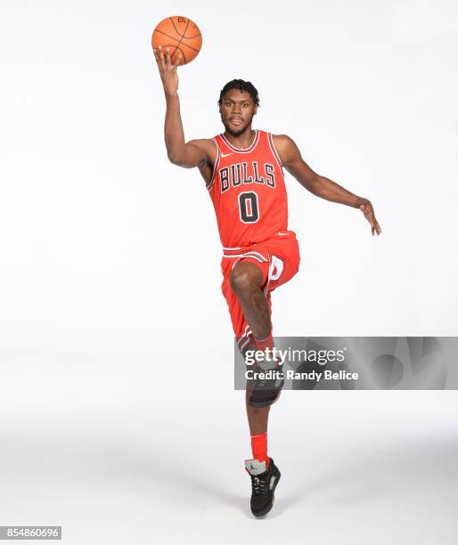 Diamond Stone of the Chicago Bulls poses for a portrait during the 2017-18 NBA Media Day on September 25, 2017 at the United Center in Chicago,...