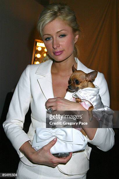 Paris Hilton with her dog Tinkerbell