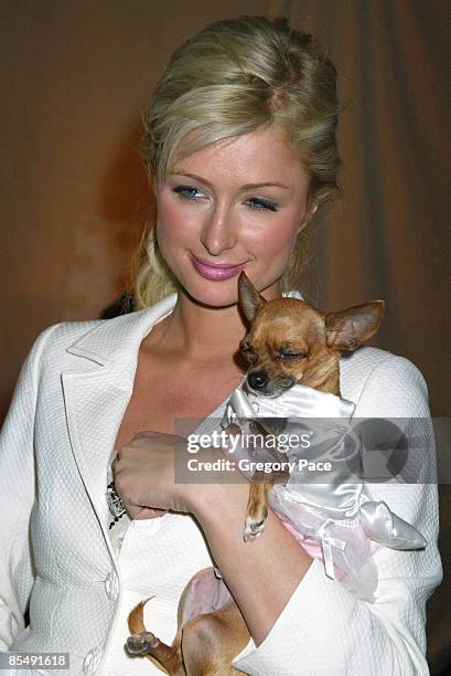 Paris Hilton with her dog Tinkerbell