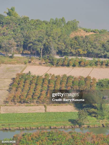 udon thani. - udon thani stock pictures, royalty-free photos & images