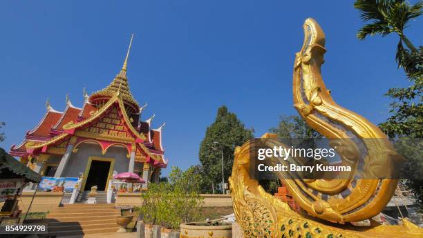 wat pha tak suea a buddhist temple, udon thani. - udon thani stockfoto's en -beelden