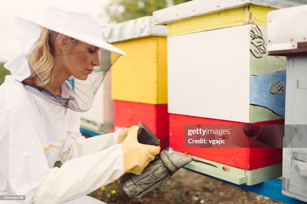 Beekeeping