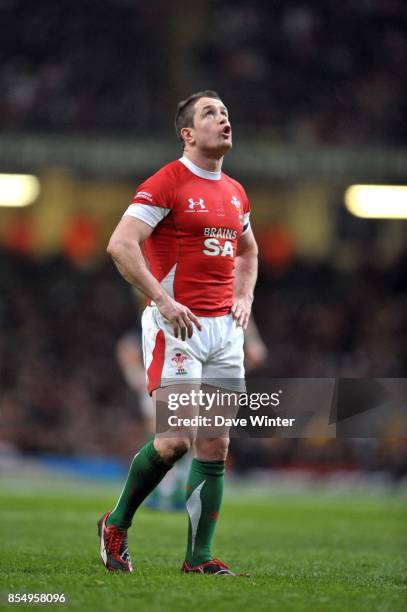 Shane WILLIAMS - - Pays de Galles / France - Tournoi des 6 Nations 2010 - Millenium Stadium - Cardiff,