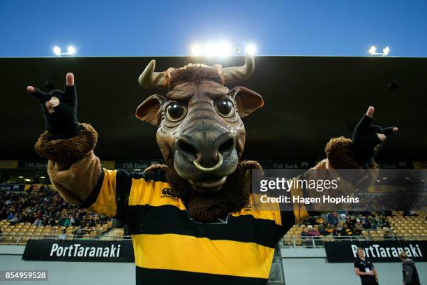 Taranaki mascot, Ferdinand the Bull , poses during the round seven Mitre 10 Cup match between Taranaki and Tasman at Yarrow Stadium on September 28,...