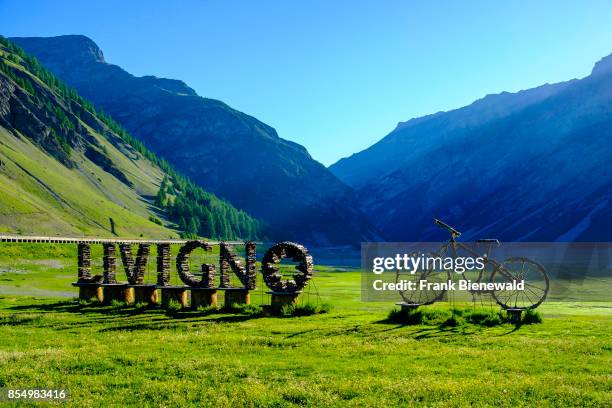 Artful decoration on a meadow at the entrance of Livigno town.