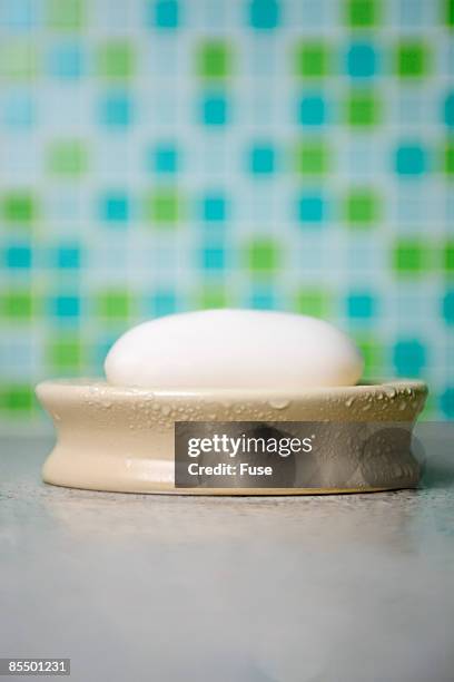 soap in soap dish - saboneteira imagens e fotografias de stock