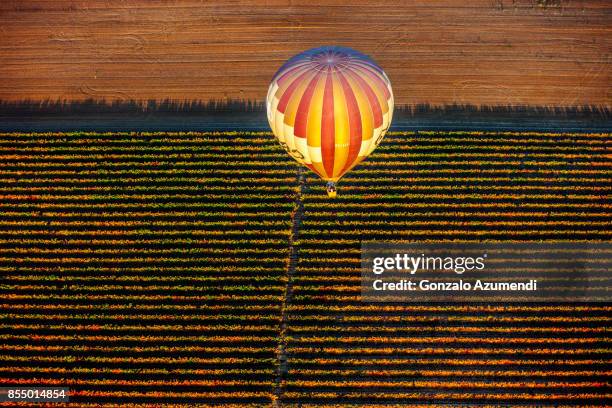 autumn in la rioja spain - comunidad autónoma de la rioja fotografías e imágenes de stock