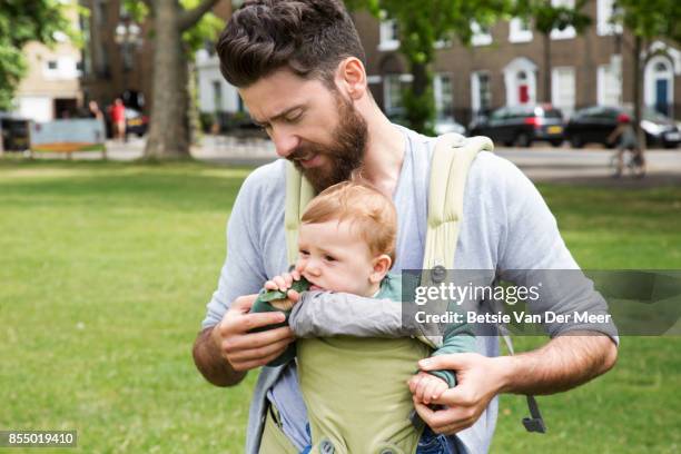 father gives a cucumber slice to his son in baby carrier, while walking in park. - baby carrier stock pictures, royalty-free photos & images