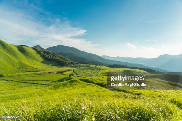 view of the plateau,soni kougen in japan - clear sky stock pictures, royalty-free photos & images