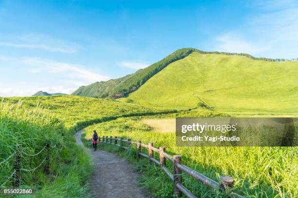 asiatische frau wanderer zu fuß unterwegs in der natur. - tokai region stock-fotos und bilder