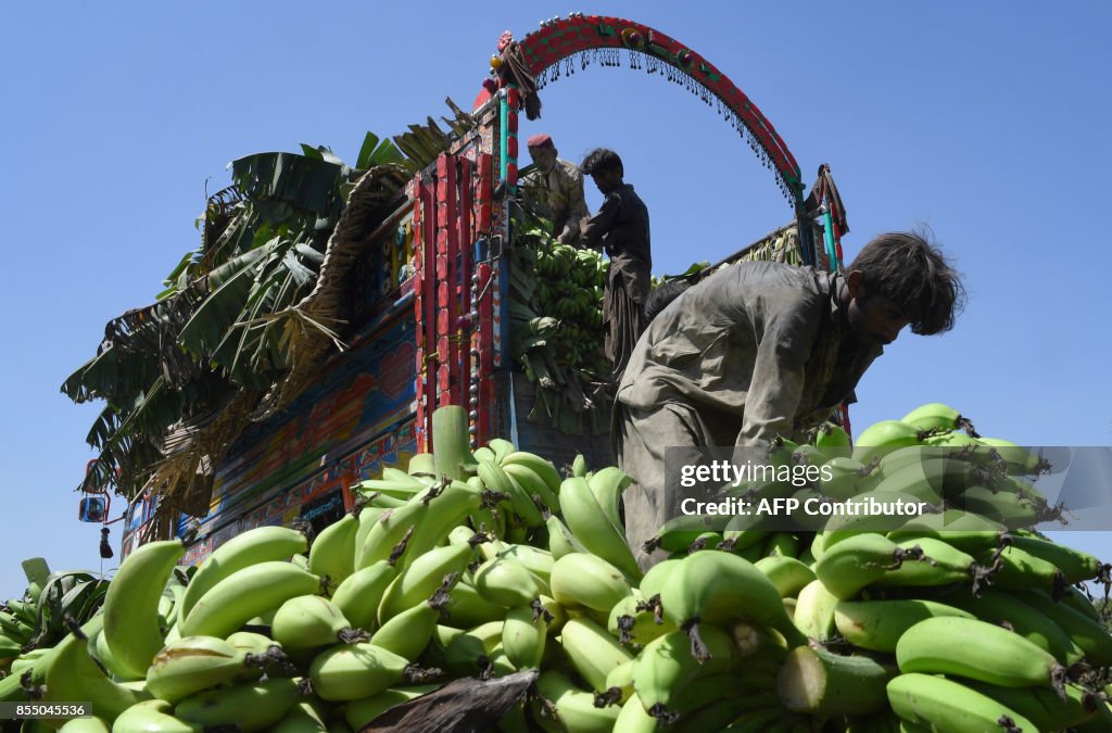 PAKISTAN-ECONOMY-AGRICULTURE