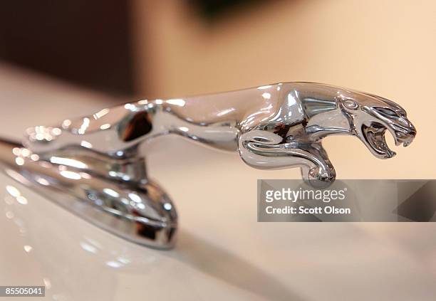 Jaguar hood ornament sits on the front of a supercharged 2009 XF at a dealership March 19, 2009 in Chicago, Illinois. Jaguar and Buick unseated Lexus...