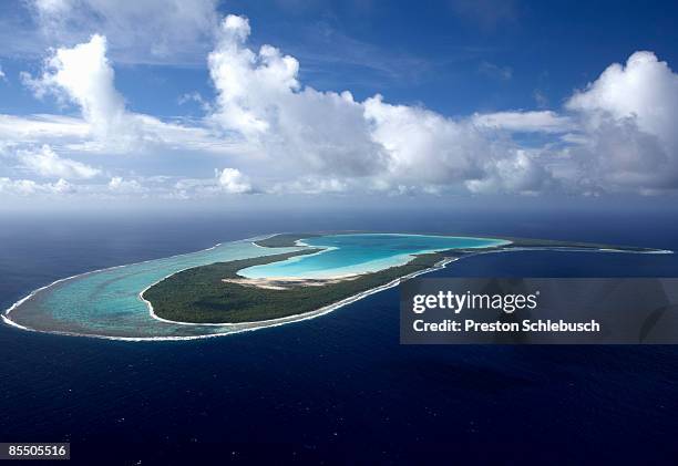 tupai island - schlebusch stock pictures, royalty-free photos & images