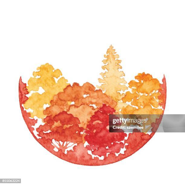 watercolor autumn forest with circle frame - oak woodland stock illustrations