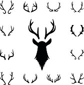 Deer s head and antlers set. Design elements of deer