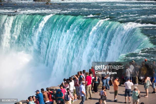 tourists in niagara falls ontario canada - horseshoe falls stock pictures, royalty-free photos & images