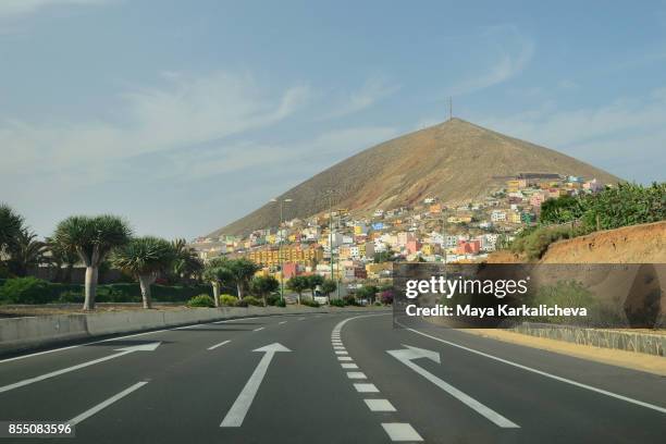 road in gran canaria, canary islands - dracaena draco stock pictures, royalty-free photos & images