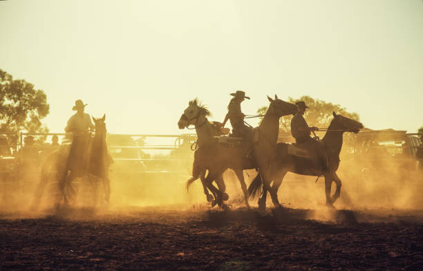 Australian Rodeo Sunset 512 Australia Outback Horse Stock Photos, High-Res Pictures, and Images ...