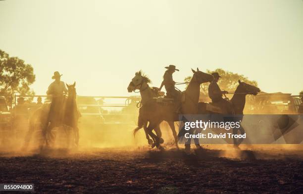 a dusty rodeo in central queensland, australia. - queensland stock pictures, royalty-free photos & images