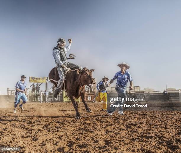 a rodeo in central queensland, australia. - four people stock pictures, royalty-free photos & images