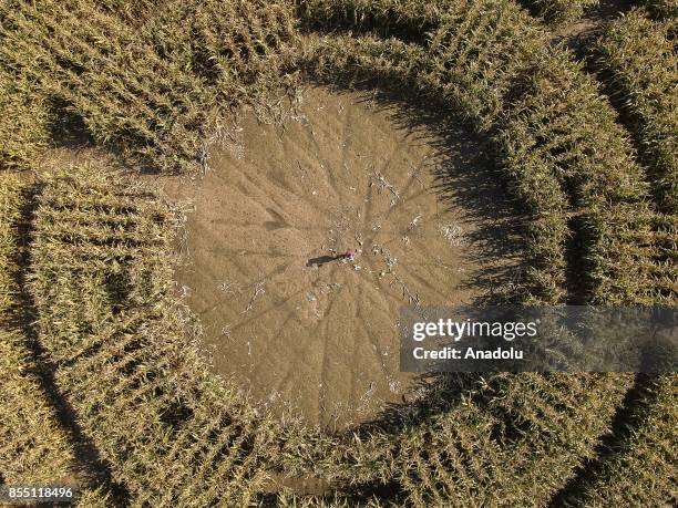 Drone view of a Corn field Labyrinth, near Kobierzyce, Poland, September 28, 2017. The Corn field Labyrinth is made of 100 thousand corn plants 3...