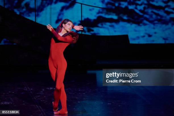 Solist Opera 310 Solist Stock Photos, High-Res Pictures, and Images - Getty Images