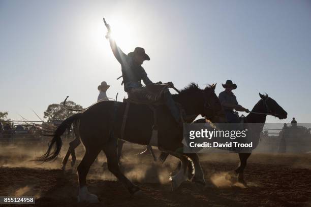 a rodeo in central queensland, australia. - australian light horse stock pictures, royalty-free photos & images