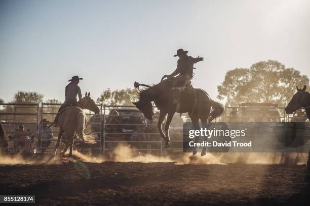 452 Australia Outback Horse Stock Photos, High-Res Pictures, and Images ...