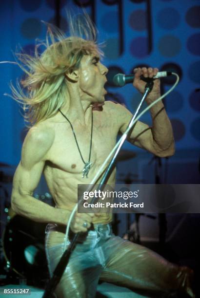 Photo of Iggy POP