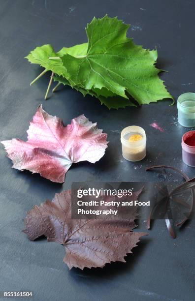 chocolate "grape" leaves - food coloring stock pictures, royalty-free photos & images