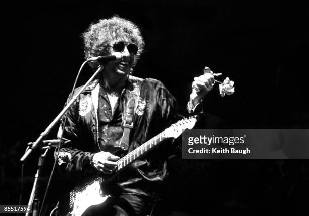 Photo of Bob DYLAN, Bob Dylan performing on stage, sunglasses, flower
