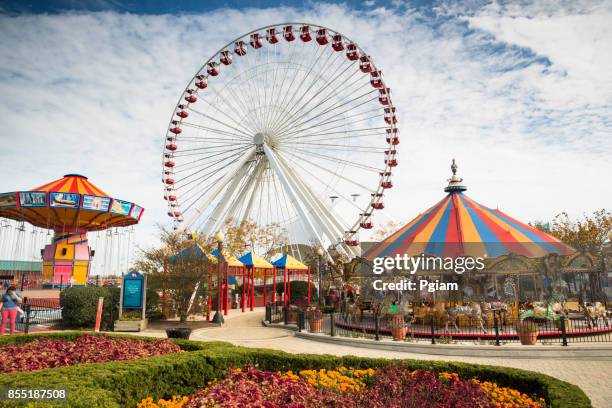 navy pier amusement park in chicago illinois usa - navy pier stock pictures, royalty-free photos & images