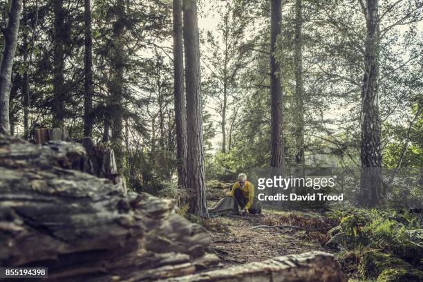 middle aged man camping in sweden - david trood stockfoto's en -beelden