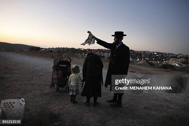 Kaparot Ritual 234 Ultra Orthodox Jews Perform Kaparot Ceremony Stock Photos, High-Res ...