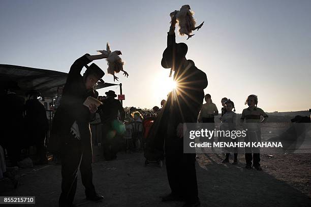 Kaparot Ritual 298 Ultra Orthodox Jews Perform Kaparot Ceremony Stock Photos, High-Res ...