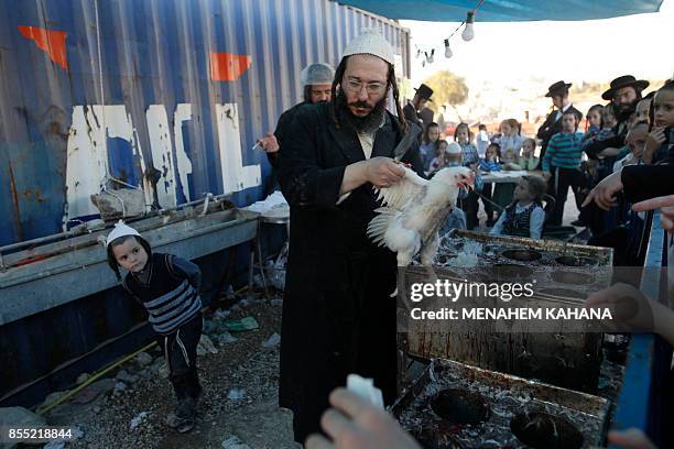 Kaparot Ritual 596 Kaparot Ceremony Performed In Israel Stock Photos, High-Res ...