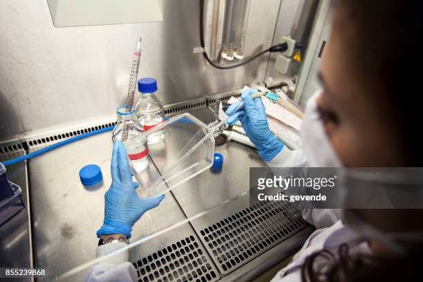 women in stem - stem cells human stock pictures, royalty-free photos & images