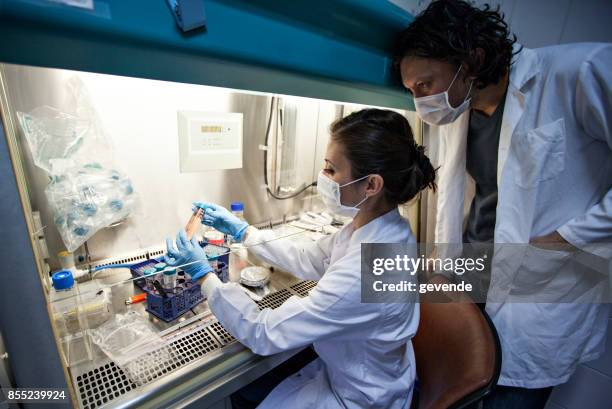 frauen im stamm - stem cells human stock-fotos und bilder