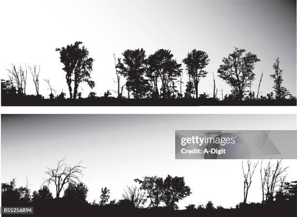 高速道路 treeline - 写実主義点のイラスト素材／クリップアート素材／マンガ素材／アイコン素材