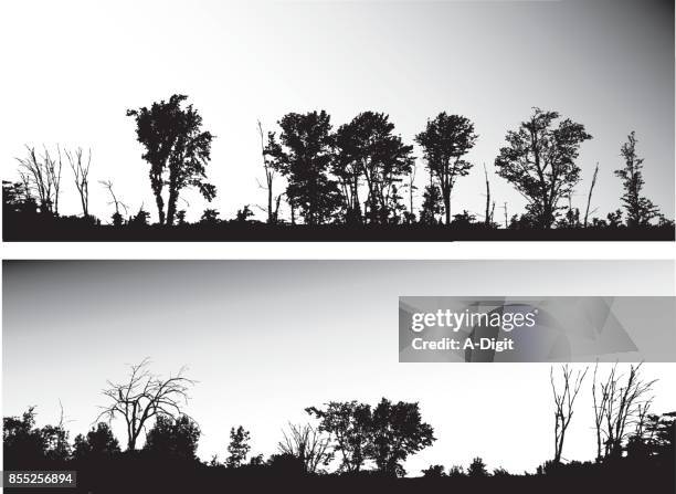 highway treeline - sulking stock illustrations